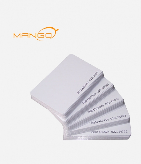 P1 – Proximity Kart (Mango)